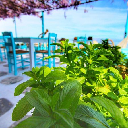 Benitsa Beach Hotel Achílleion エクステリア 写真
