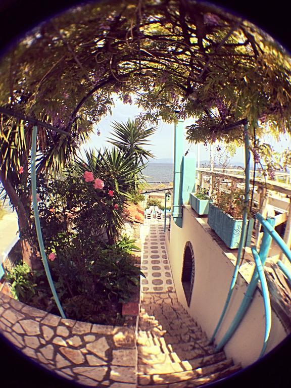 Benitsa Beach Hotel Achílleion エクステリア 写真