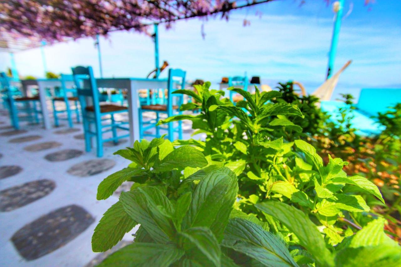 Benitsa Beach Hotel Achílleion エクステリア 写真
